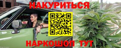 прущие грибы Можга