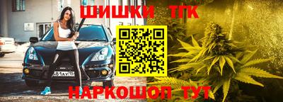 прущие грибы Можга