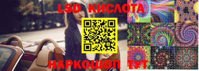 прущие грибы Можга