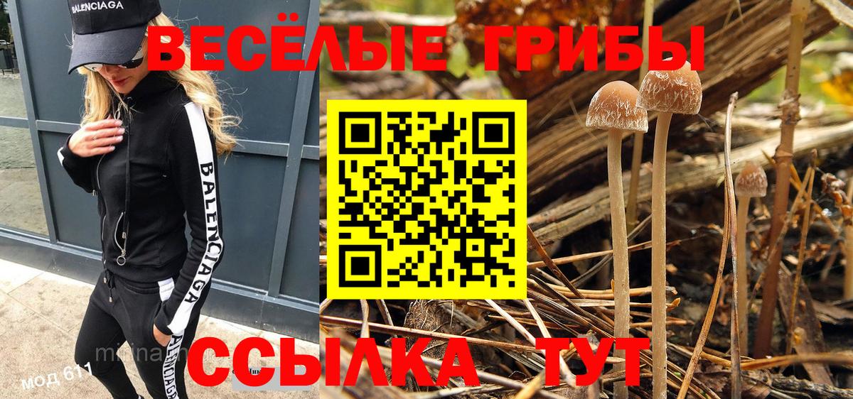 Галлюциногенные грибы Cubensis Тихвин