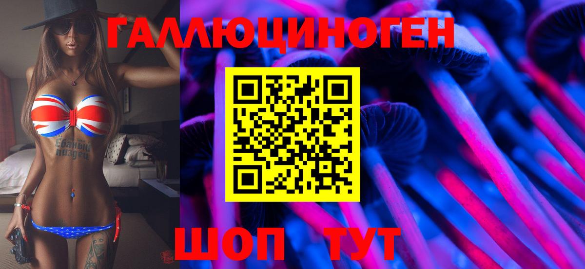 Галлюциногенные грибы GOLDEN TEACHER  Вход с VPN  хочу наркоту  Тихвин  Галлюциногенные грибы прущие грибы 